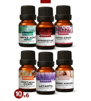 6'lı Set Esansiyel Uçucu Yağ Buhurdanlık Yağı Hava Nemlendirici Aroma Difüzörü Kokusu Esans 10ml Set