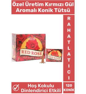 Rahatlatıcı Arındırıcı İyileştirici Ev Ofis Meditasyon Yoga Chakra Pozitif Enerji 120 Konik Tütsü