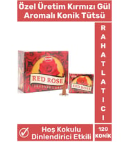 Rahatlatıcı Arındırıcı İyileştirici Ev Ofis Meditasyon Yoga Chakra Pozitif Enerji 120 Konik Tütsü