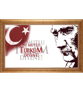 EV İŞYERİ OFİS İÇİN ALTIN ÇERÇEVELİ PASPARTULU TABLO S214