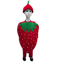 Çilek Kostümü Çocuk