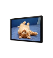 Kedi Yavrusu Çerçeveli Mdf Tablo
