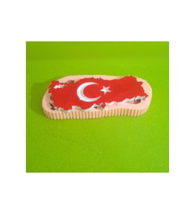 Türkiye Harita Silikon Kalıp