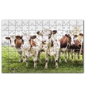 Cakapuzzle Çayırda Tel Örgünün Kenarında İnekler Puzzle Yapboz MDF (Ahşap) (120 Parça)
