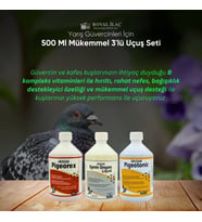 Royal İlaç Yarış Güvercinlerinde 500 Ml Rahat Nefes Yüksek Performans ve Mükemmel Uçuş Seti