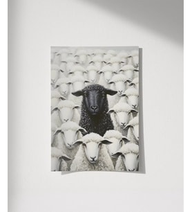 Çerçevesiz Poster Sürünün Tam Ortasında