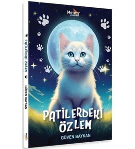 Patilerdeki