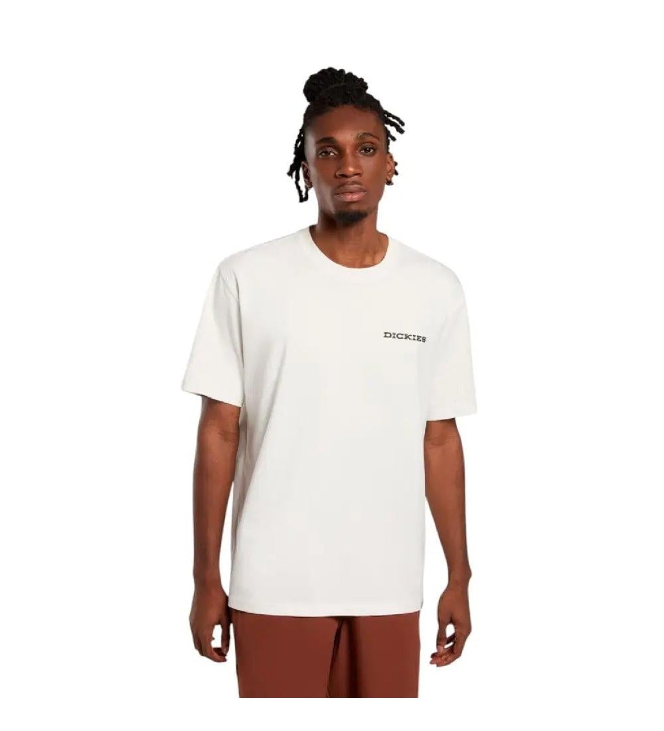 dickies-landascape-ss-tee-t-