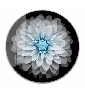 İdealizbiz Lotus Çiçek Cam Tablo 4mm Dayanıklı Temperli Cam