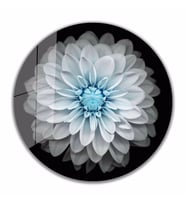 İdealizbiz Lotus Çiçek Cam Tablo 4mm Dayanıklı Temperli Cam
