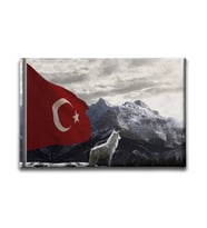 Bozkurtlu Türk Bayrağı Kanvas Tablo ABY110
