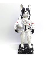 BY ARİ BULLDOG ASTRONOT BİBLO BB336-5