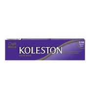 Koleston Tüp Boya Patlıcan Moru 3-66