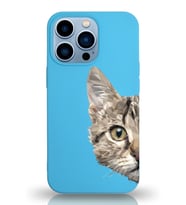 Apple iPhone 13 Pro Max Uyumlu Lansman Kılıf Catface Tasarımlı Altı Kapalı İçi Kadife Kaplı  Kapak (Şeffaf)