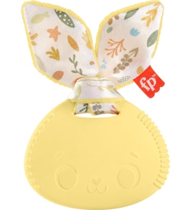 Fisher Price Sensimals Dişlik Seti Hrb22 (Çok Renkli)