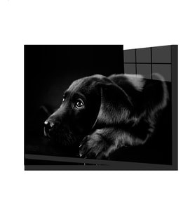 Köpek Cam Tablo