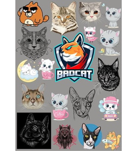 Kediler Sticker Set 14 Parça Telefon, Tablet, Defter, Laptop Sticker
