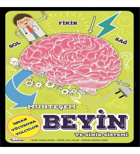 Muhteşem Beyin Ve Sinir Sistemi