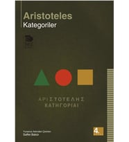 Kategoriler