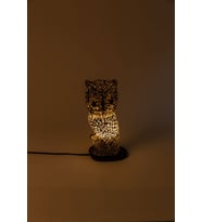 Lumino Owl Padang (Çok Renkli)