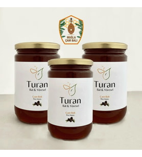 Çam Balı Coğrafi İşaret Tescilli- Üçlü Set 850g