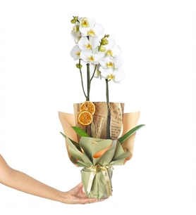 BUKET KAGIDINDA ORKİDE TASARIM