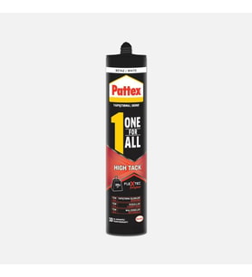 Tüm Şartlarda Tüm Malzemeler için Yapıştırma 460 gr