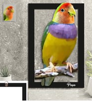 Kişiye Özel Hayvan Karikatürlü Kuş 3D Ahşap Tablo 30x47 Model-1