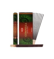 Citronella Tall Hexa