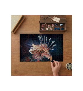 Aslan Balığı Tasarımı 240 parça Ahşap Puzzle Ahşap Kutuda MP05935