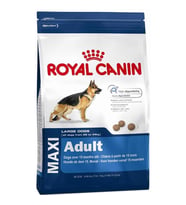 Royal Canin Maxi Adult Büyük Irk Yetişkin Kuru Köpek Maması 15 Kg