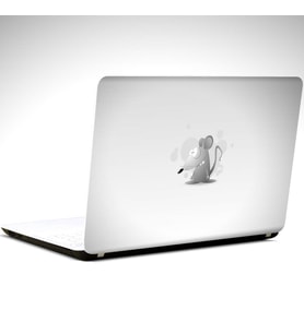 Fare Laptop Sticker 10 İnch (25X19CM)
