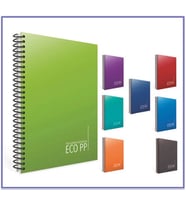 Gıpta Eko 100 Yaprak Kareli Defter A4 Spiralli Pp Kapak 1 adet