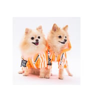 Pawstar Köpek Orange Tuta Rompers Large Sırt33cm Göğüs46cm Boyun30cm