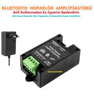 Bluetooth Hoparlör amplifikatörü (Tavan hoparlör için Uygundur- 4 Hoparlöre Kadar Destekler)