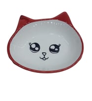 Bio Pet Active Seramik Kedi Mama Kabı 12-15-3,5cm No:12