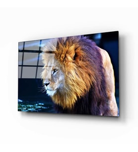 Aslan 9 Cam Tablo