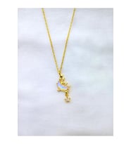Zirkon Taşlı Hilal Yıldız Sarkıtlı Gold Kadın Paslanmaz Çelik Kolye (Gümüş)