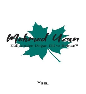 Küllerinden Doğan Dil ve Roman
