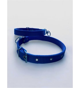 Büyük Boy Köpek Tasması Mavi 60 cm