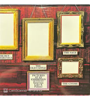 Emerson Lake Palmer Pictures At An Exhibition LP Plak (Karışık)