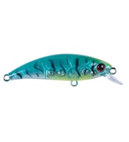 Hanfish Zıpır KG 5cm 4.5gr LRF Maket Yem Tropical Shrimp