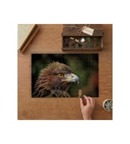 Kahverengi Kartal Tasarımı 240 parça Ahşap Puzzle Ahşap Kutuda MP09514