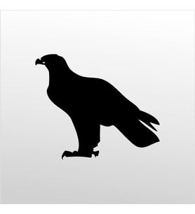 Folyo Sticker Kartal ADKPQUY630 200cm Uzunluk