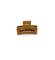 Biem Mandal Toka Camel