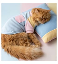 Bubbles Pastel Kedi Uyku Takımı  Mini Yastıklı Şeker Renkli Yazlık Kedi Pijama Seti