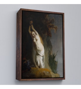 Çerçeveli Rembrandt van Rijn - Andromeda Tablo (Altın)