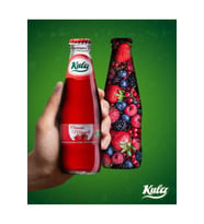 Orman Meyveli Aromalı Doğal Mineralli Maden Suyu 200 ml x 24 Cam Şişe (6 x 4’lü Paket)