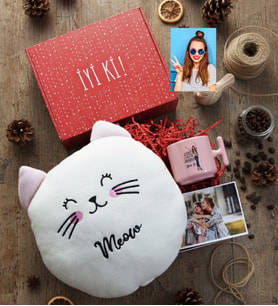 Kişiye Özel Karikatürlü Cute But Aquarius Kova Burcu Hediye Kutusu - Kişiye Özel T Pastel Kupa, Peluş Yastık, Fotoğraf 1 Adet Doğum Günü Hediyesi