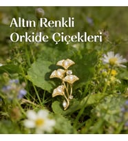 İncili Orkide Demeti Altın Renk Broş - Gerçek İncili